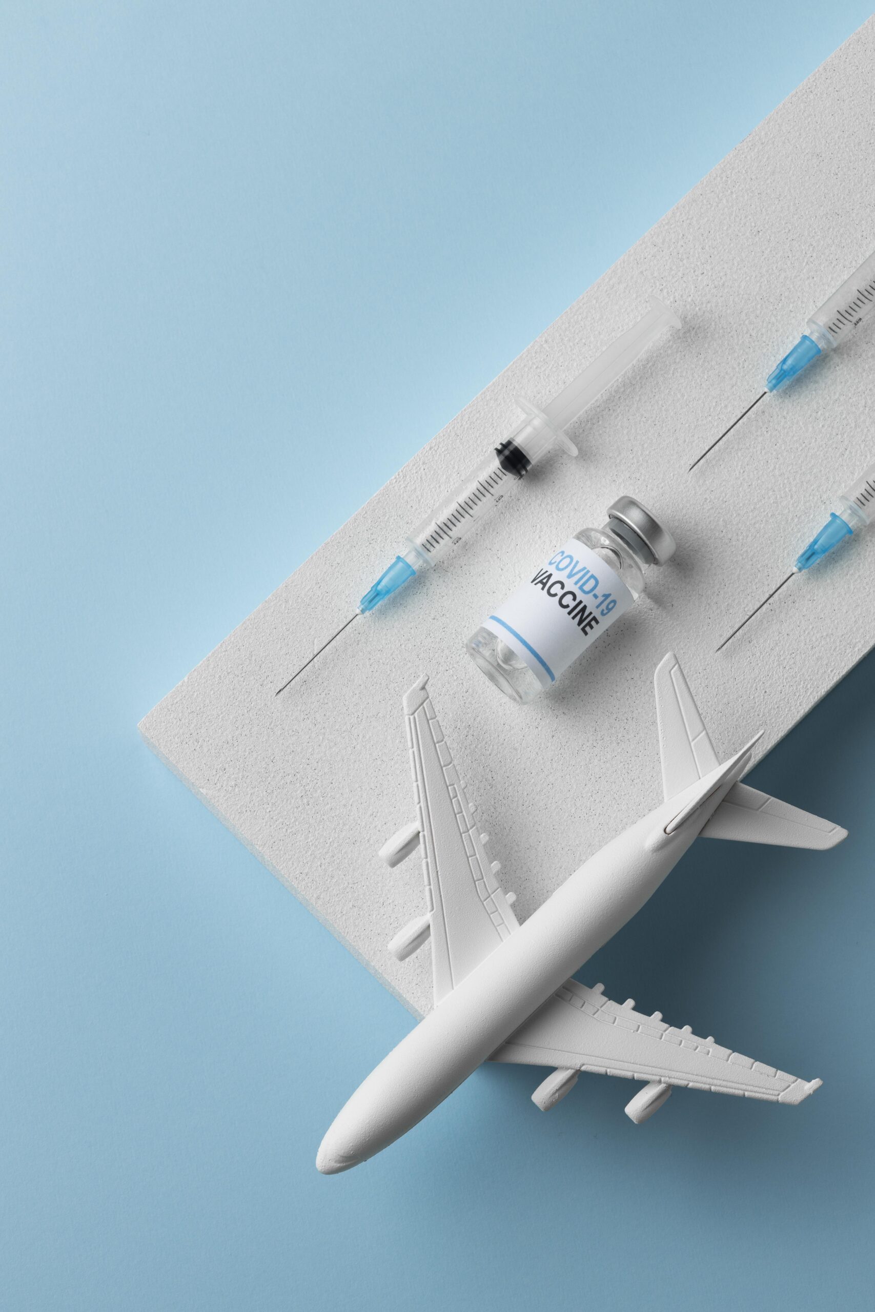 covid still life with vaccine